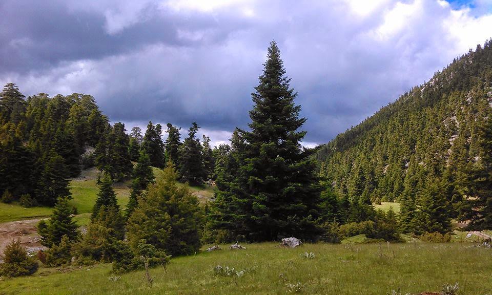 Alexander Resort Арахова Екстериор снимка